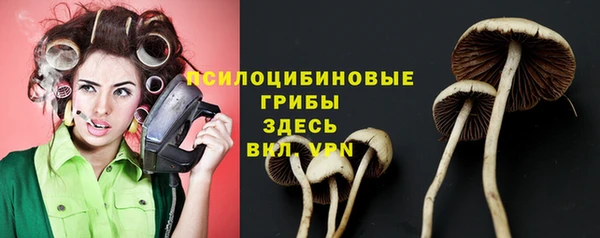метадон Армянск