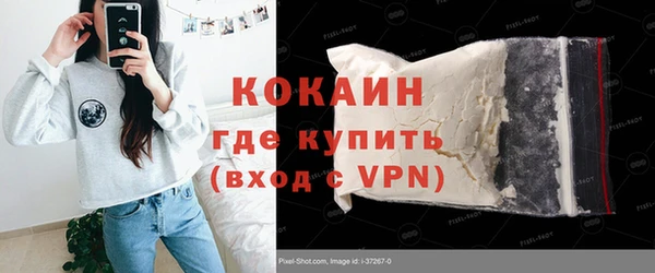 шишки Аркадак