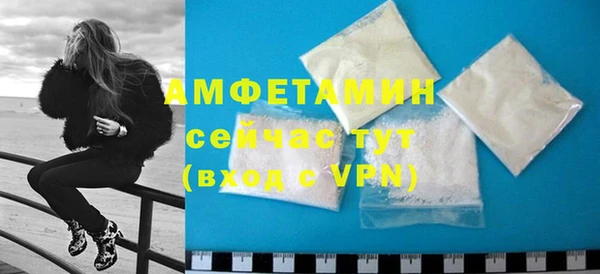 шишки Аркадак
