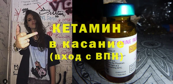 шишки Аркадак