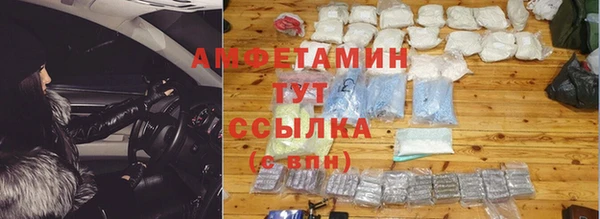шишки Аркадак