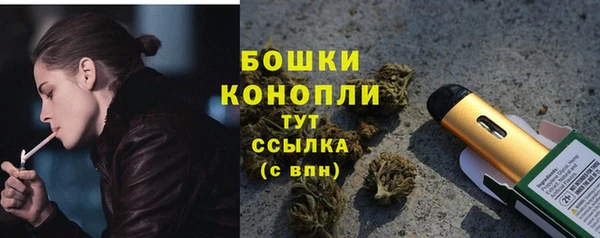 спайс Баксан