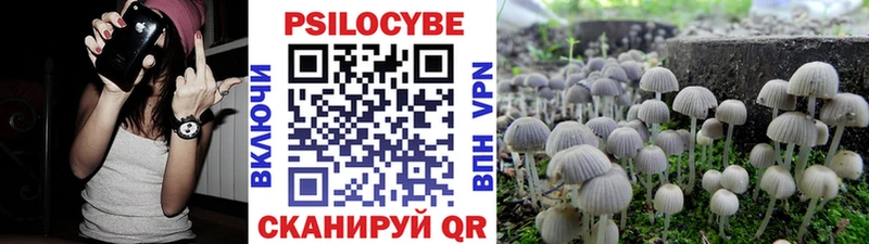 Галлюциногенные грибы GOLDEN TEACHER  Отрадный 